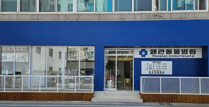 칠곡군 동물병원