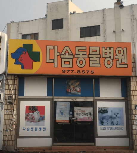 칠곡군 동물병원