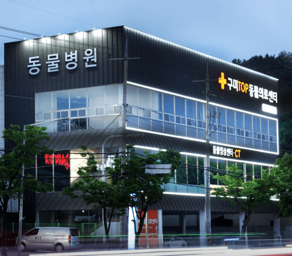 구미시 동물병원