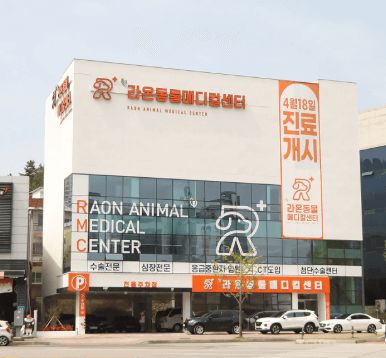 구미시 동물병원