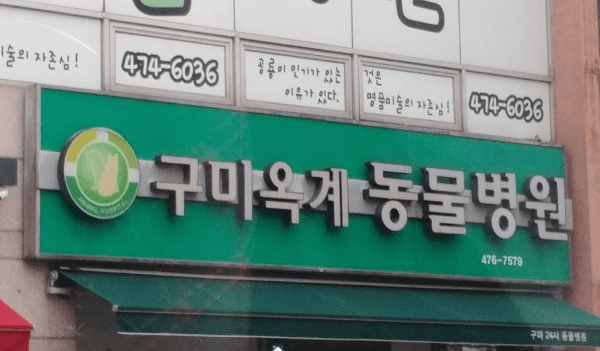 구미시 동물병원
