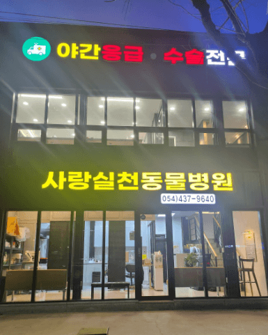 김천시 동물병원