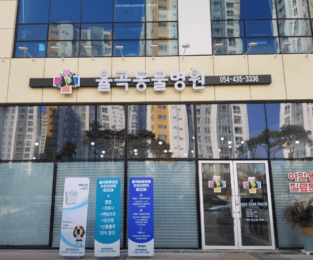 김천시 동물병원