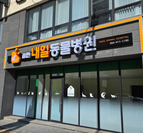 김천시 동물병원