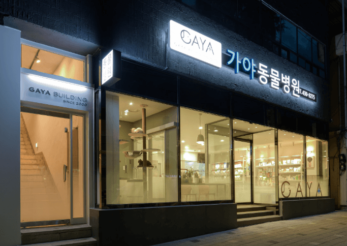 김천시 동물병원