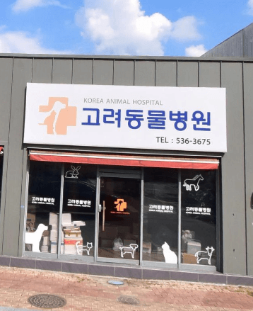 상주시 동물병원