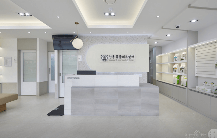 안동시 동물병원