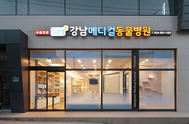 안동시 동물병원