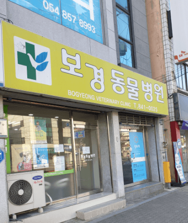 안동시 동물병원