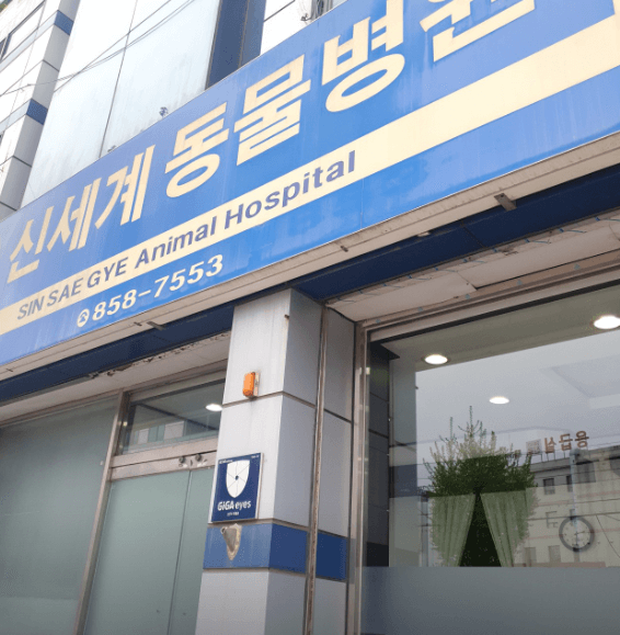 안동시 동물병원