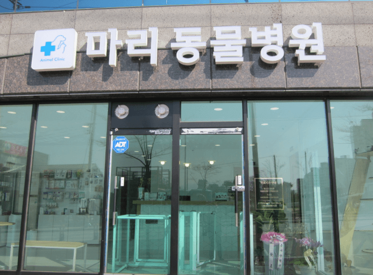 영주시 동물병원