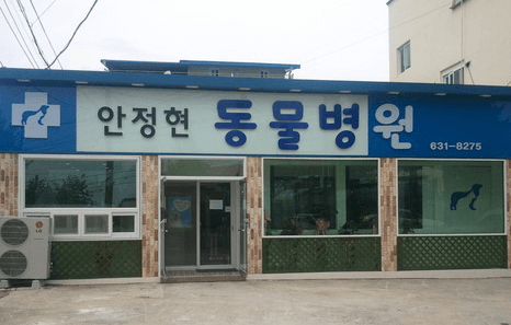 영주시 동물병원