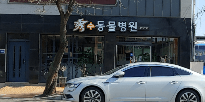 영주시 동물병원