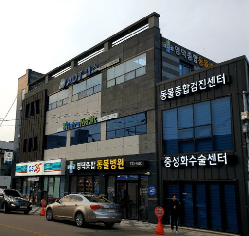 영덕군 동물병원