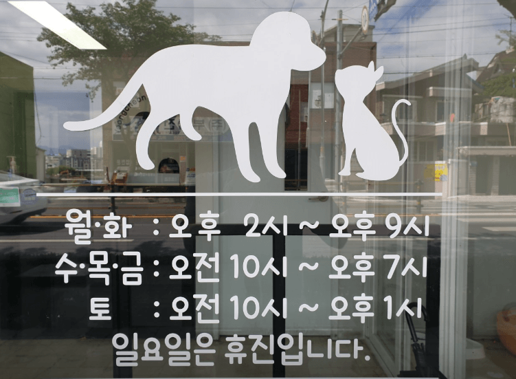 영천시 동물병원