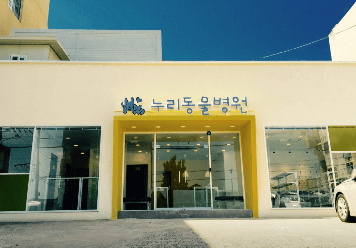 영천시 동물병원