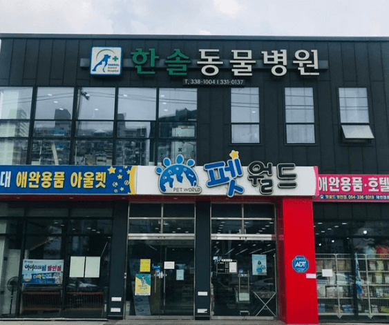 영천시 동물병원