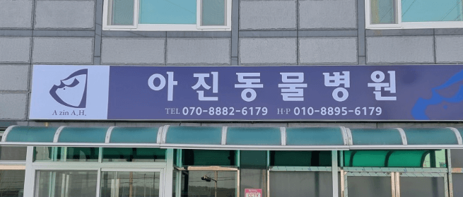 영천시 동물병원