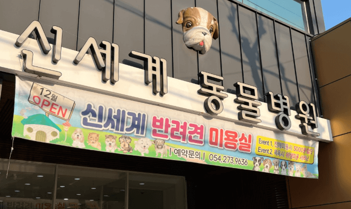 포항시 남구 동물병원