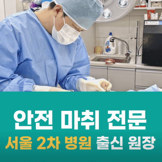 포항시 북구 동물병원