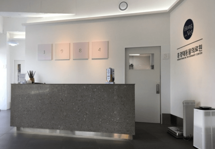 포항시 북구 동물병원