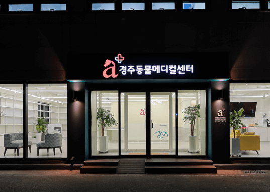 경주시 동물병원