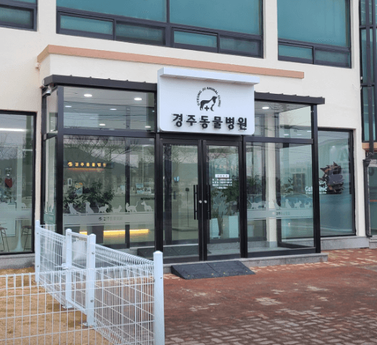 경주시 동물병원