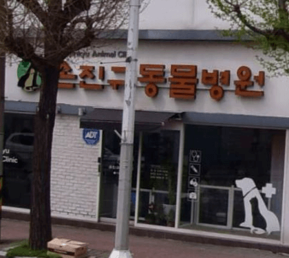 경주시 동물병원