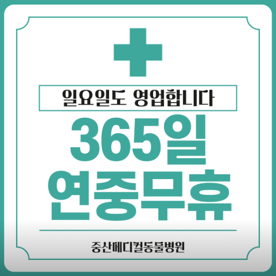 경산시 동물병원