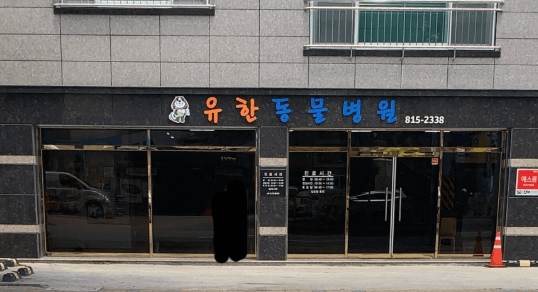 경산시 동물병원