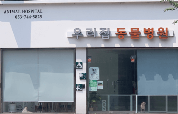 경산시 동물병원