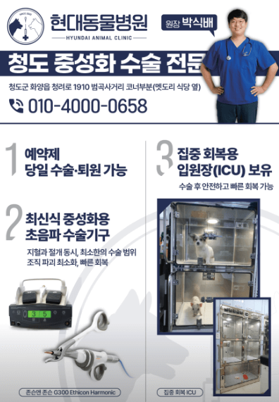 청도군 동물병원