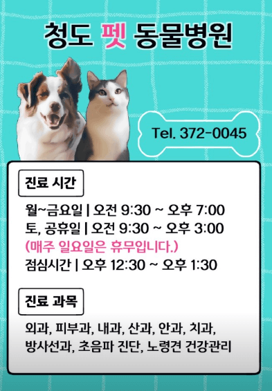 청도군 동물병원