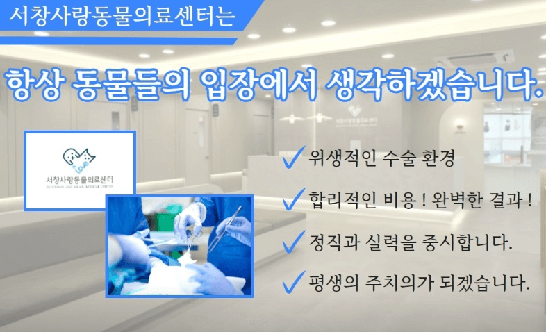 양산시 동물병원