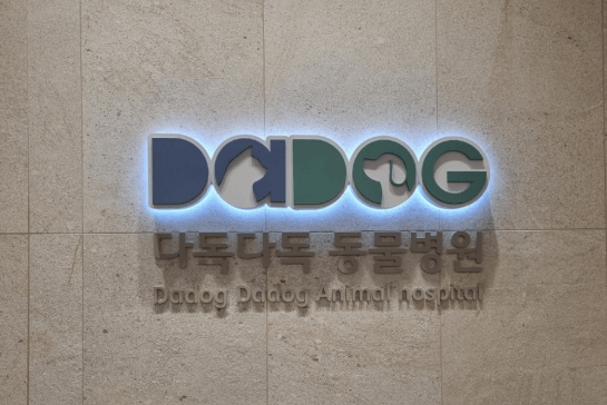 김해시 동물병원