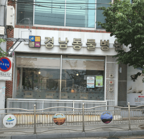 밀양시 동물병원