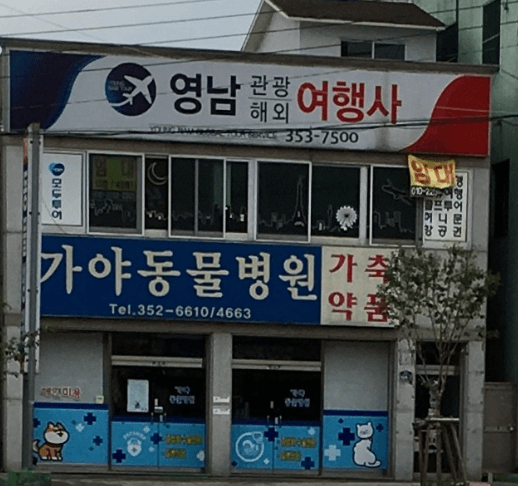밀양시 동물병원