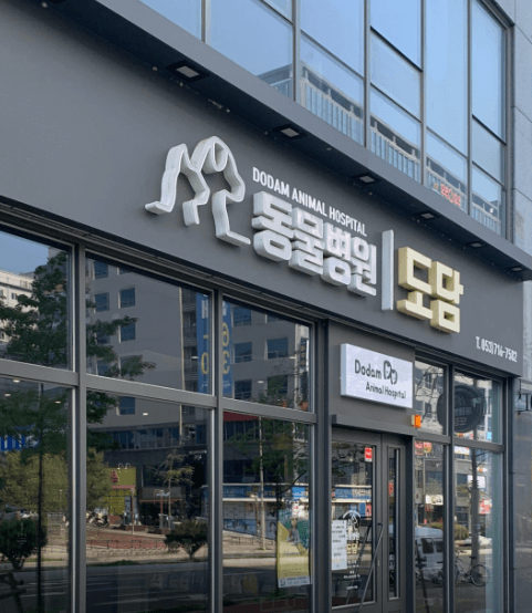 창녕군 동물병원