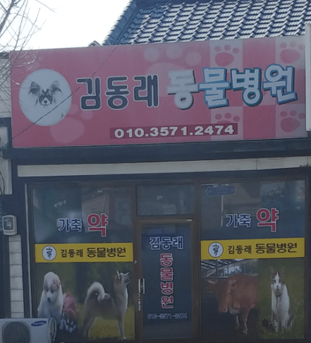 함안군 동물병원