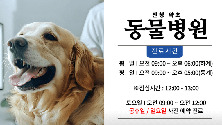 산청군 동물병원