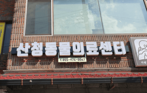 산청군 동물병원