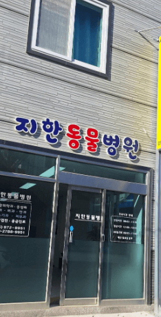 산청군 동물병원