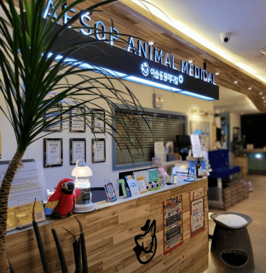 진주시 동물병원