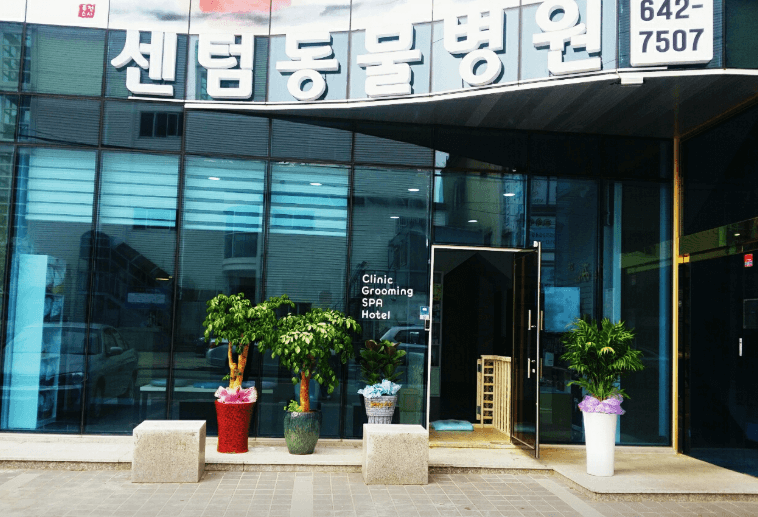 통영시 동물병원