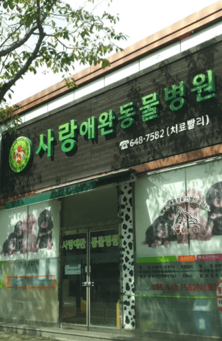 통영시 동물병원