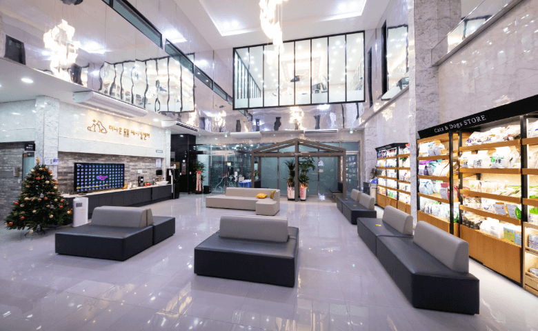 거제시 동물병원