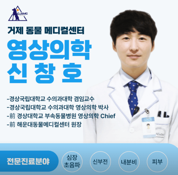 거제시 동물병원