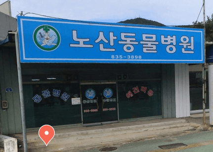남해군 동물병원