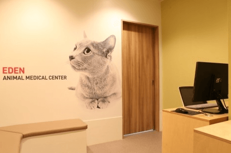 창원시 성산구 동물병원