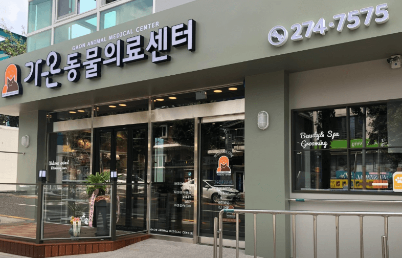 창원시 성산구 동물병원